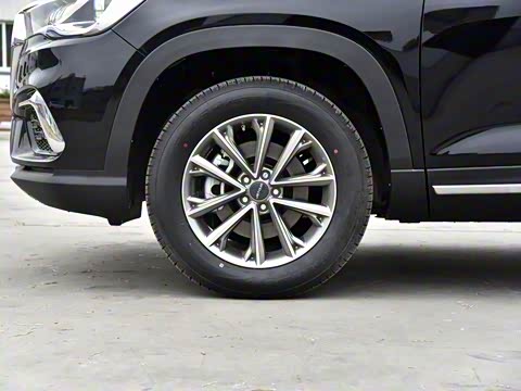 2019�� 1.5T �ֶ������� 7�� ��VI