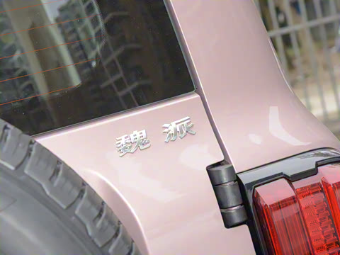 2021�� ���а� 2.0T ������