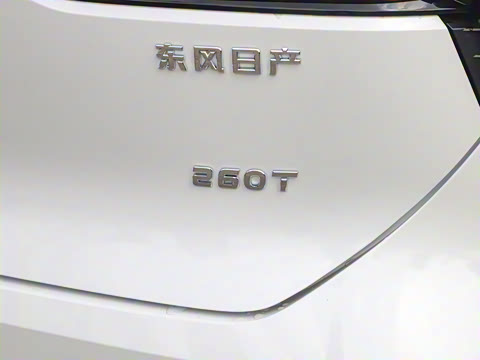 2023�� 260T ������ Pro