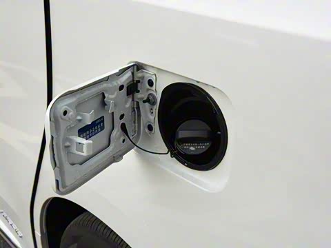 2020�� 300h ����������