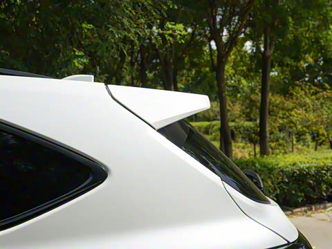 2022�� 2.0T ����������