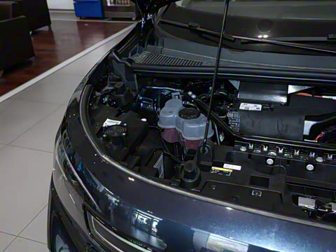 2021�� �Ŀ� ������PRO��