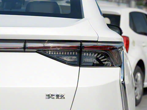 2020�� 230T �Զ��ſ�������