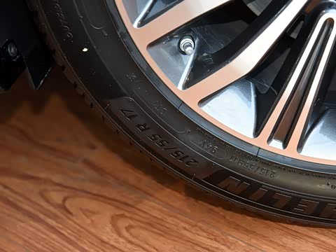 2019�� 270T DCT���ٰ棨��������VI