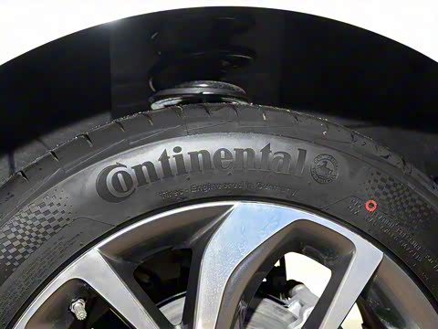 2019�� ����������