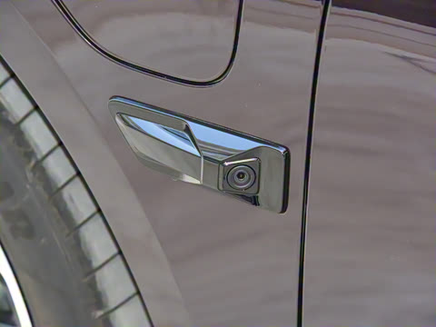 2021�� ������������� WE��