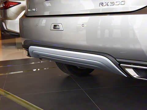 2020�� 300 �������Ű� ��VI