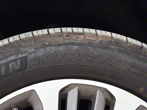 2019�� 30T ������������Ⱥ�����