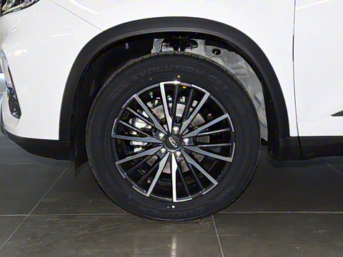 2021�� 290TGDI DCT���а�