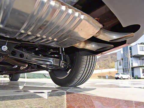 2019�� 20T �Զ�Trophy���Ǿ�����