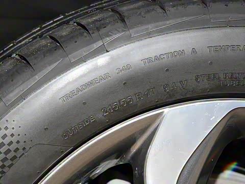 2019�� ����������