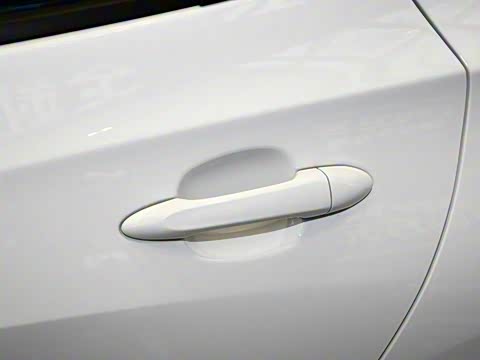 2019�� ����������