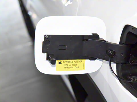 2021�� 290TGDI DCT���а�