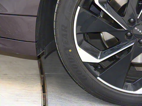 2021�� ������������� WE��