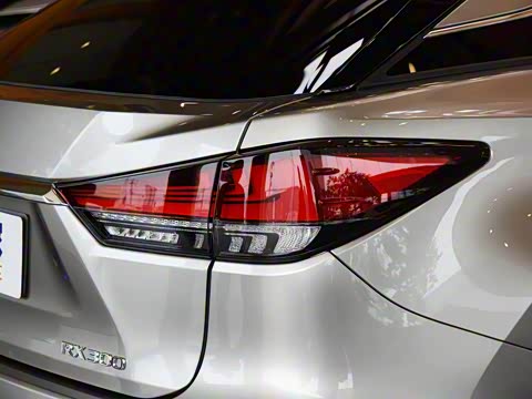 2020�� 300 �������Ű� ��VI