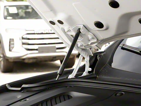 2022�� �������������