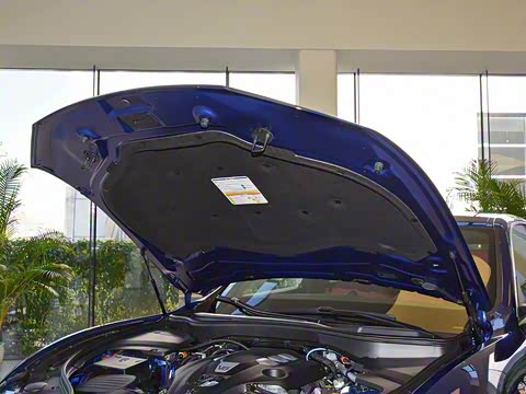 2019�� 3.0T ��׼�� ��VI