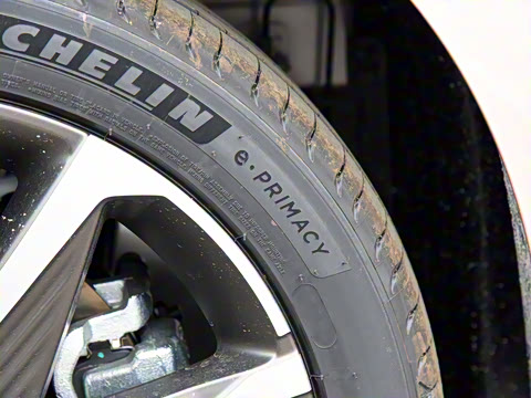 2021�� 80 ����������