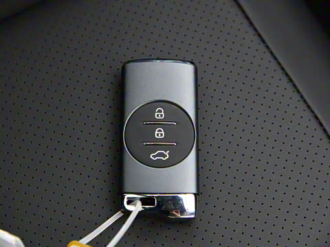 2020�� ���а� 1.6T DCT����7��