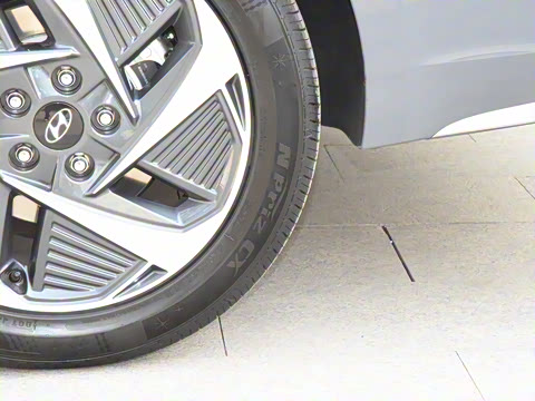 2021�� DLX�����