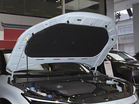 2022�� 2.0T �˶��� �캽��