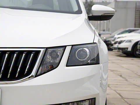 2019�� TSI230 DSG���к����� ��VI