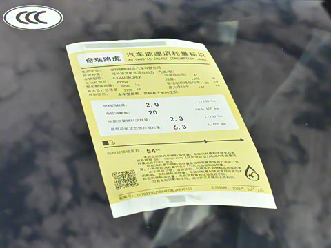 2022�� �Ŀ� P300e ���ʽ�綯��ϰ�