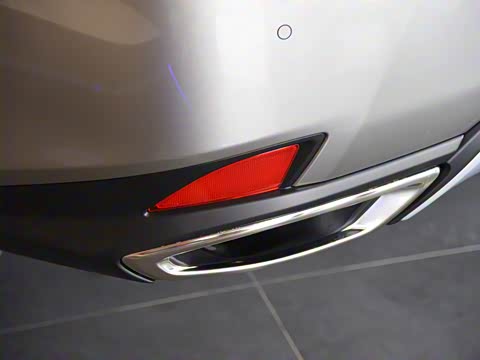 2020�� 300 �������Ű� ��VI