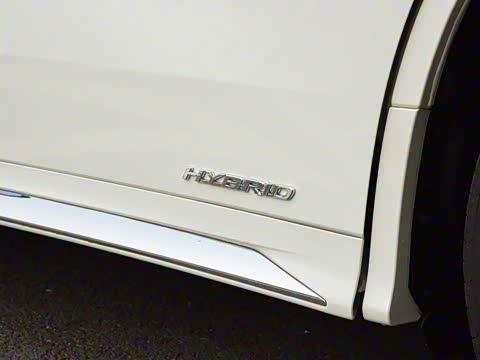 2020�� 300h ����������