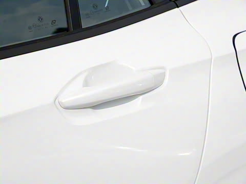 2020�� 230T �Զ��ſ�������