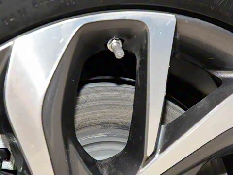 2019�� ����������