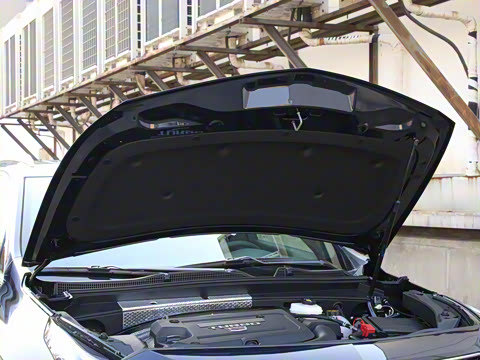 2022�� 28T ����������