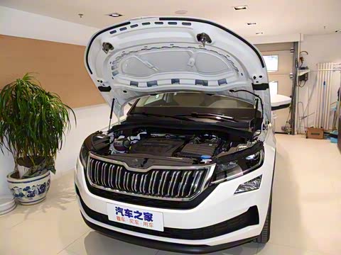 2019�� TSI330 ���������� ��VI