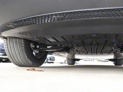 2022�� ������PURE+��