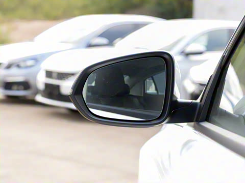 2020�� 230T �Զ��ſ�������