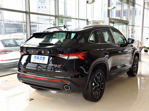 2019�� TSI330 ���������� ��VI