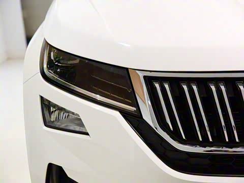 2019�� TSI330 ���������� ��VI