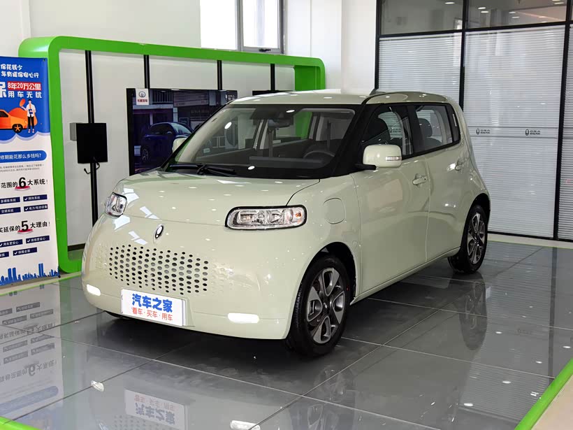 欧拉白猫限时优惠中店内让利促销中