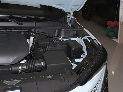 2022�� 2.0T �˶��� �캽��