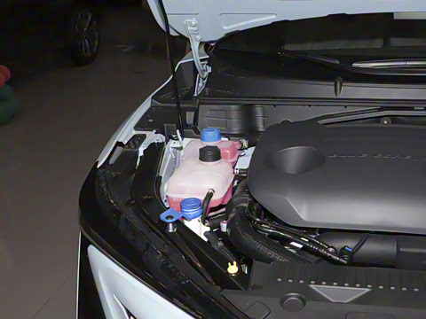 2022�� 2.0T �˶��� �캽��