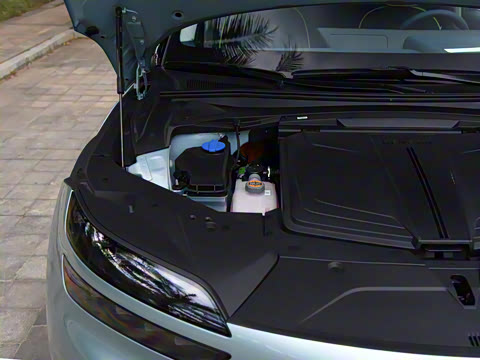 2023�� ˫��������������콢��