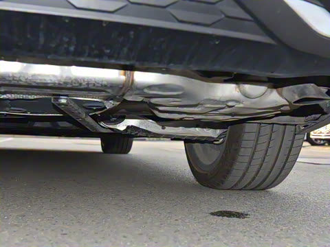 2023�� 55 TFSI quattro �콢������