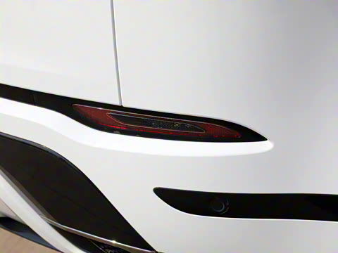 2022�� ����L P300e ���ʽ�綯��ϰ�