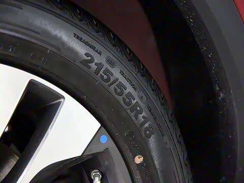 2019�� Ԧ����