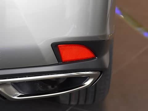 2020�� 300 �������Ű� ��VI