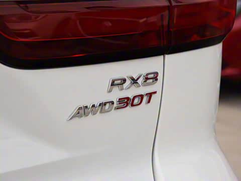 2019�� 30T ������������Ⱥ�����