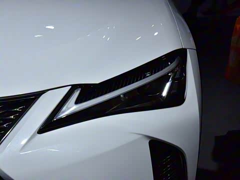 2019�� 260h F SPORT�� ��VI