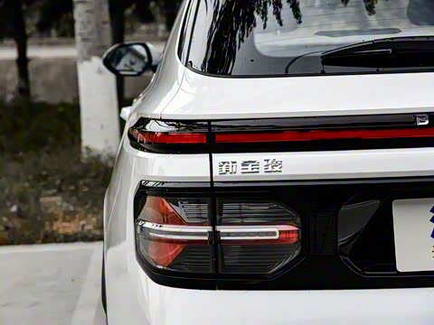 2019�� 1.5T CVT 24Сʱ���ߺ����� 7��