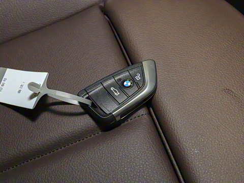 2021�� xDrive30Le ������