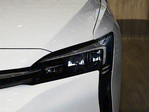 2019�� ����������